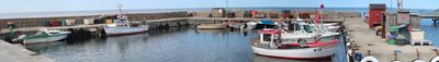 Panoramic View 0