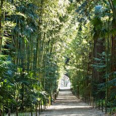 Bambouseraie de Prafrance