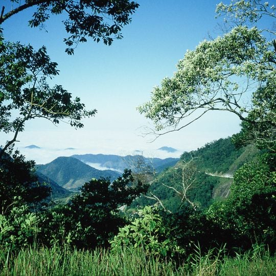 Serra da Bocaina