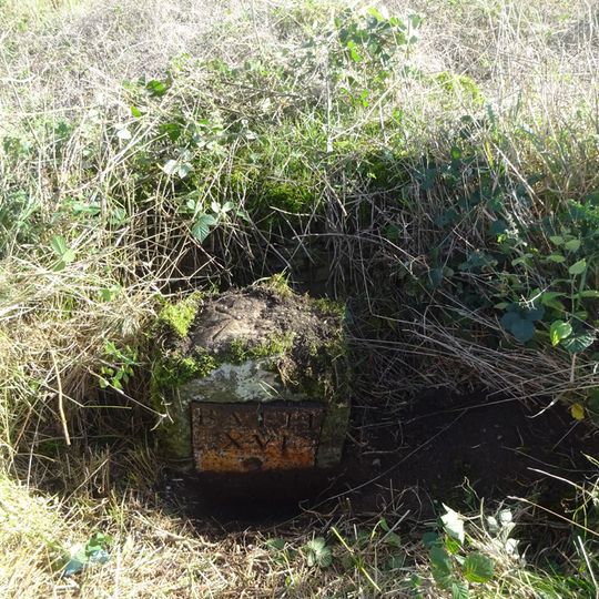 Milestone At Ngr 7980 8821