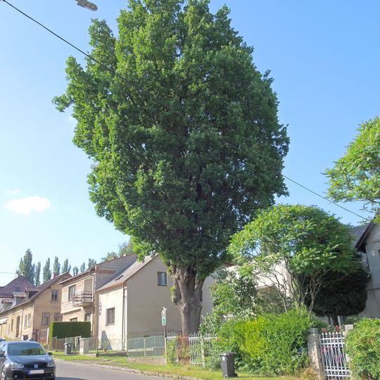 Eiche Pohraniční Stráže 1323