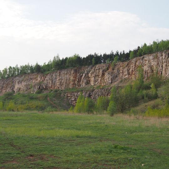Rezerwat przyrody Góra Rzepka