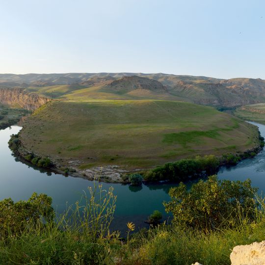 Tigris