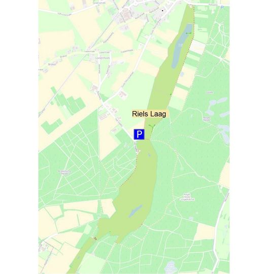 Riels Laag