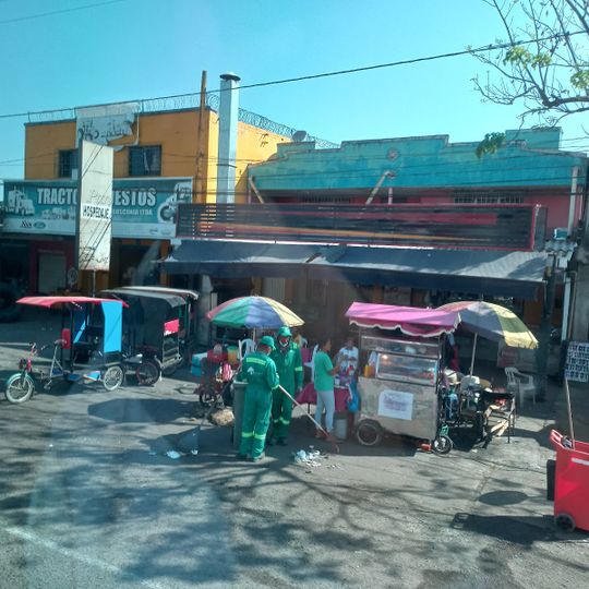 Bosconia
