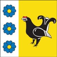 Rejon starowyżewski