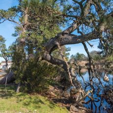 Captain Timothy Hill House