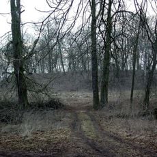 Burgwall Englischer Garten
