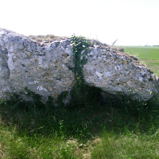 Dolmen de Bourg Neuf