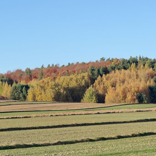 Rezerwat przyrody Góra Sieradowska