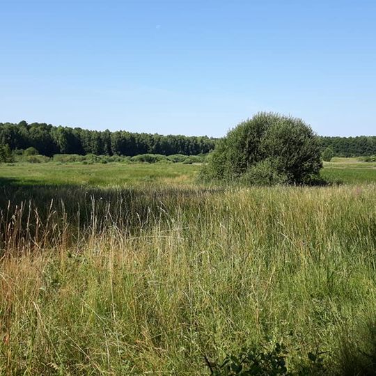 Nature reserve Stary Załom