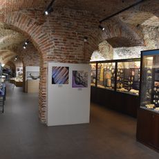 Museo paleontologico territoriale dell'Astigiano