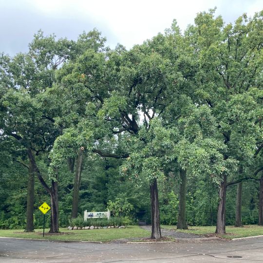 Emily Oaks Nature Center
