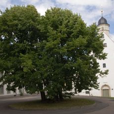 Torstensson-Linde Freiberg