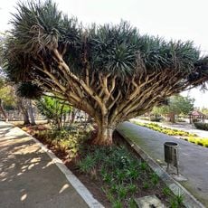 Nouzhat Hassan garden