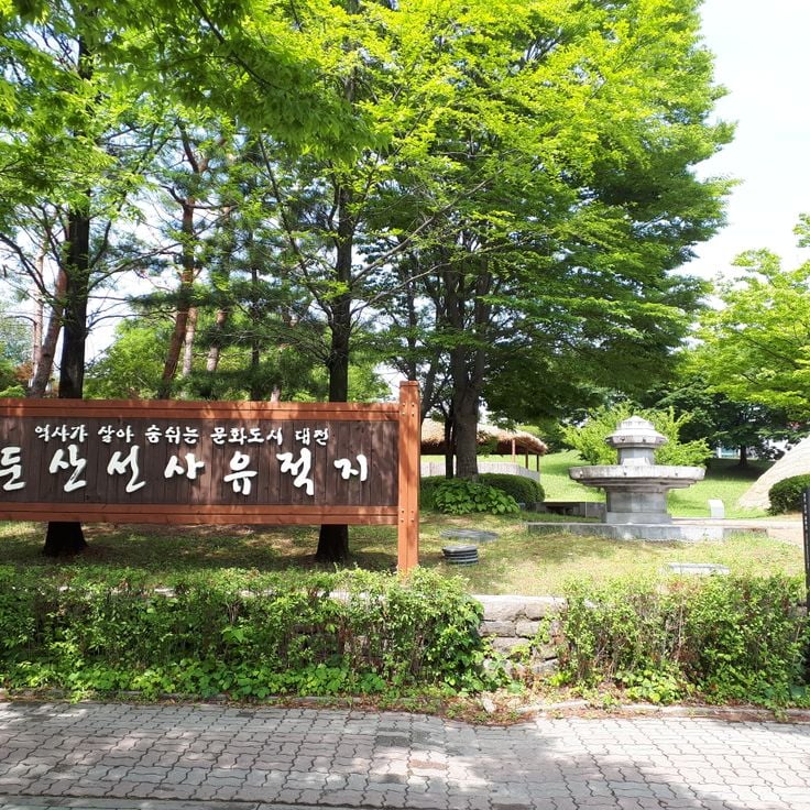둔산 선사 유적
