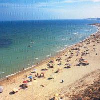 Vega Baja del Segura