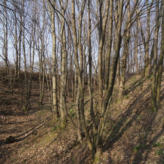 Hausberg Ödes Schloss