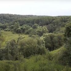 Луковня (городище)