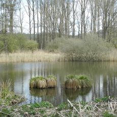Hümmer Bruch bei Stammen