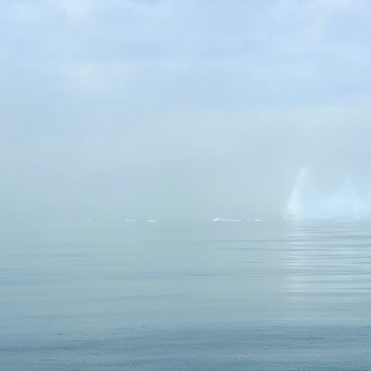 Détroit de Danemark