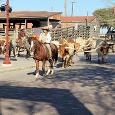 Fort Worth Stockyards