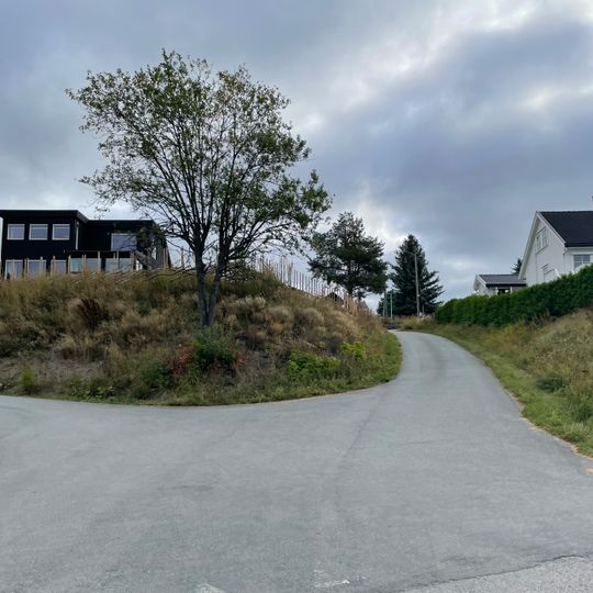 Fritjof Frøknes vei