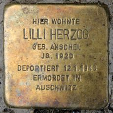 Stolperstein dedicated to Lilli Herzog