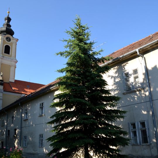 Františkánsky kláštor, konvent