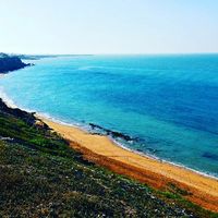 Buschehr (Verwaltungsbezirk)