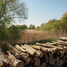 Altwasser bei Donauwörth