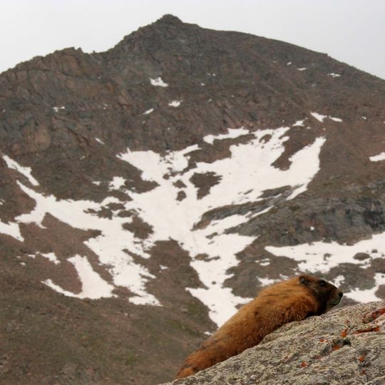 Mount Bierstadt
