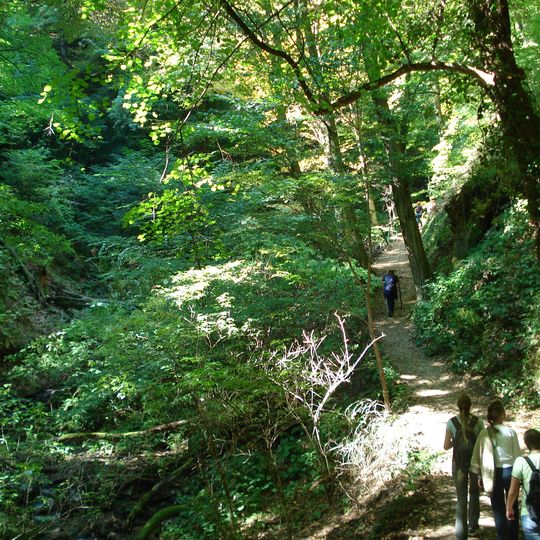 Obszar chronionego krajobrazu Medvednica