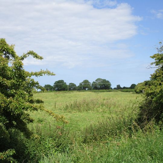 Abbey Hills moated site
