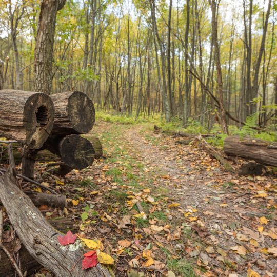 Appalachian Trail in Shenandoah National Park