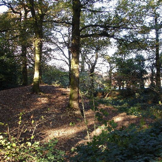 Hob's Moat, 60m north of Castle Lane