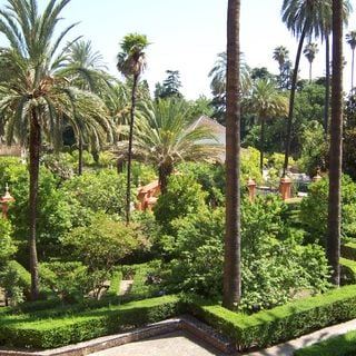 Gardens of the Royal Alcázar of Seville