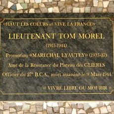 Tom Morel