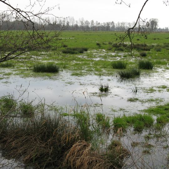 Vogelschutzgebiet Oppenweher Moor