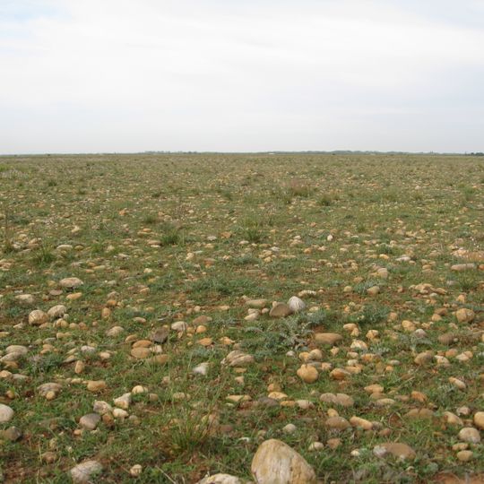 Poitevine-Regarde-Venir