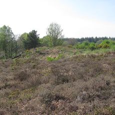 Two bowl barrows on Aylesbeare Common, 630m east and 760m east of Brackendale
