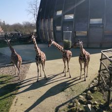 Zoo de Rotterdam