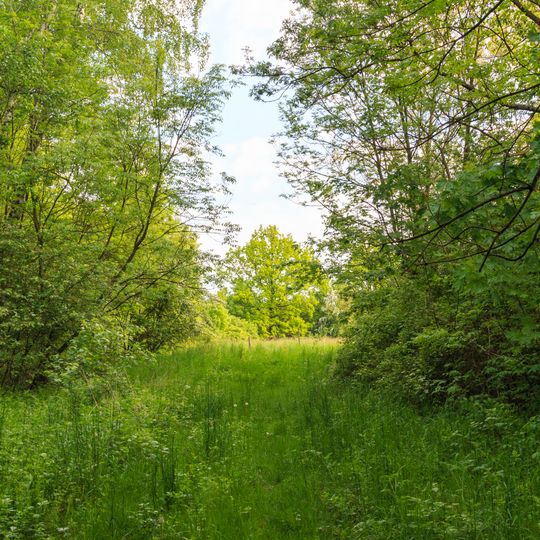 Hradiště Na Hradě