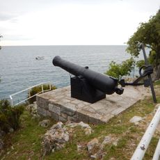 Cannon