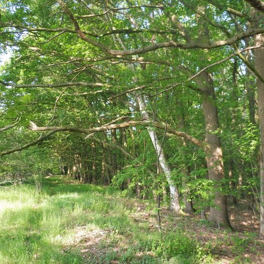 NSG Huegelgraeberfeld Mantinghausen