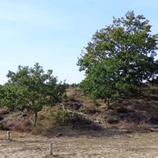 Terrein waarin twee grafheuvels