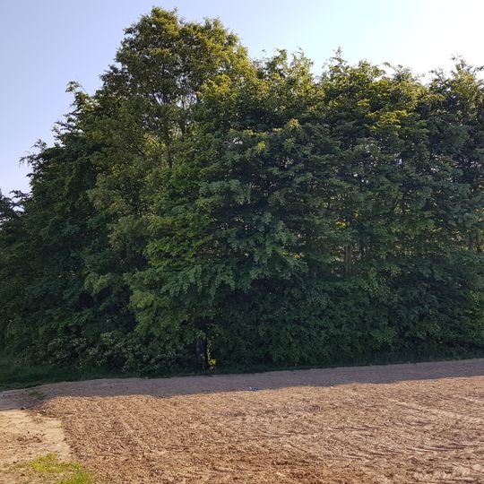 Pierre de frontière Belgique-Pays-Bas no. 94