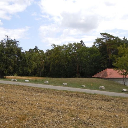 Wildbirne am Wasserbehälter Bühlhof