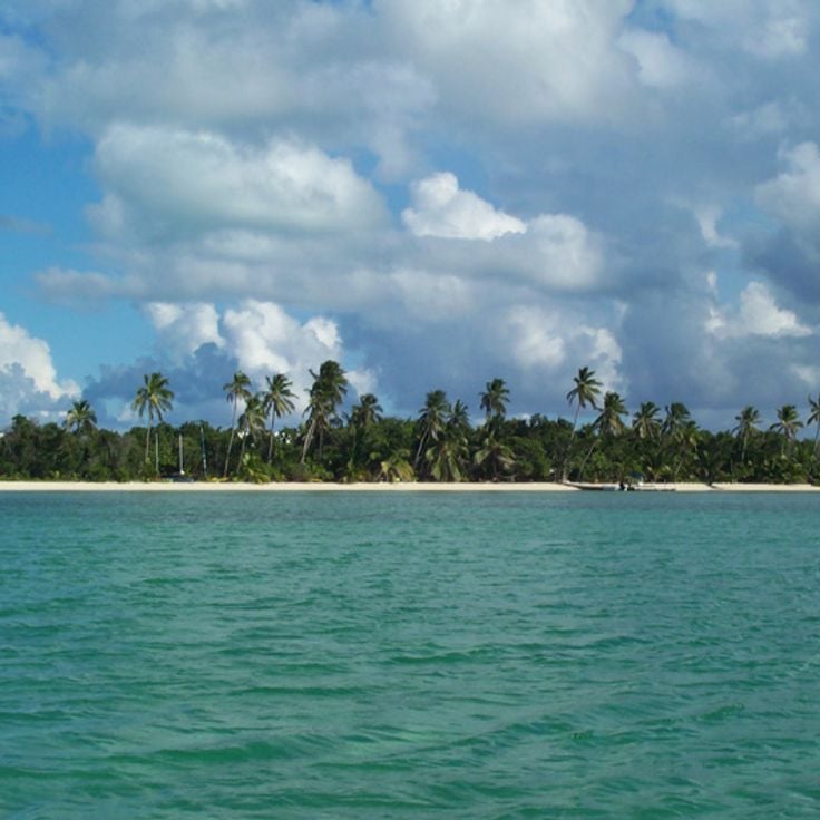 Andros