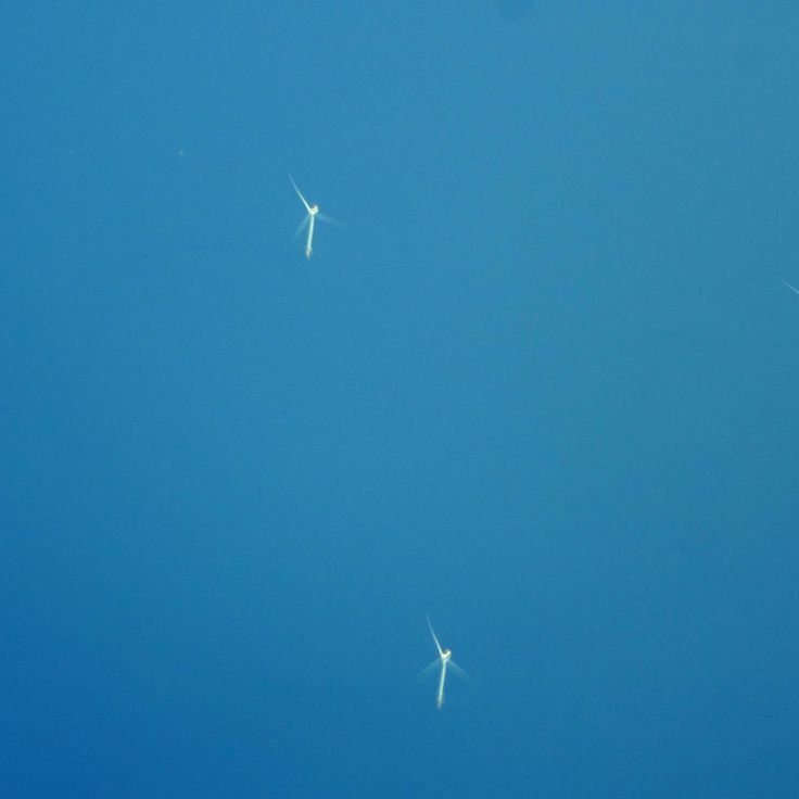 Parco eolico marino di Hornsea